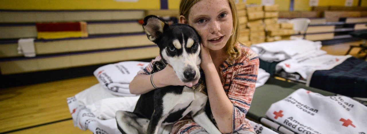 a young blonde girl sits on a cot in a Red Cross shelter. she is petting a dog on her lap and looking into the camera